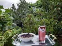 مربا و شربت شاتوت