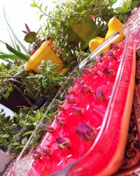 دسر کاسترد و ژله