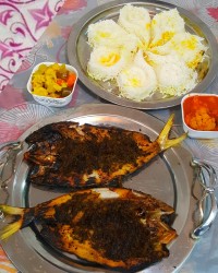ماهی صبور کبابی (جنوبی)