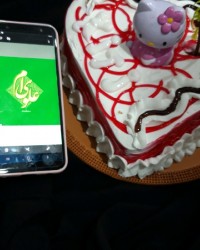 طعام .غدیر (کیک بیرونی)??