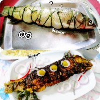 مطبگ غذای جنوبی ماهی شکم پر