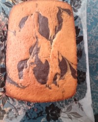 کیک اسفنجی محشر