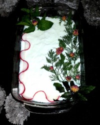 چند مدل تزئین ماست