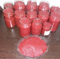 رب خانگی