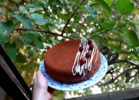 کیک شیرشکلاتی