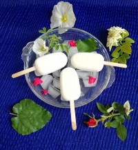 بستنی سنتی وانیلی