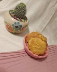 بیسکویت پتی بور