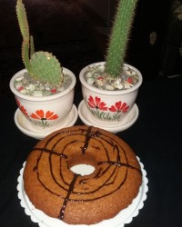 کیک بیسکوییت?