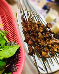 کباب دل وجگر