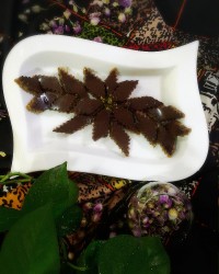 اسلایس خرما قرار گروهی