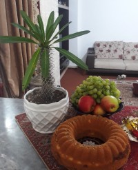 کیک اسفنجی بسیار نرم و خوشمزه