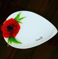 دورچین باپوست گوجه وبادمجان