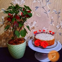 کیک جادویی بدون فر و همزن