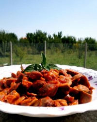 خوراک مرغ و سنگدان مرغ
