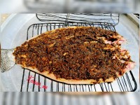 حشو جنوبی