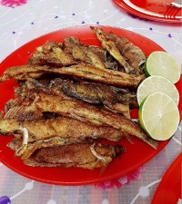 ته دیگ ماست تخم مرغ+ماهی