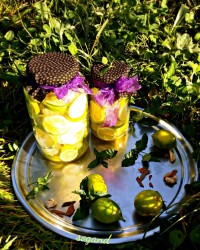 دمنوش لیمویی