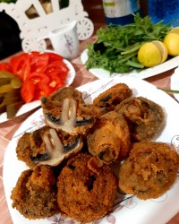 قارچ سوخاری - ۲