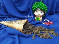 کشمش خانگی کشمش خانگی کشمش