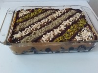 رنگینک بوشهری