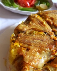 ته انداز بال مرغ