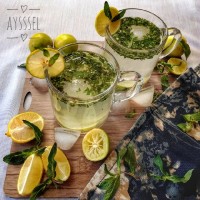 موهیتو کافی شاپی