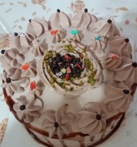 اولین خامه کشی من