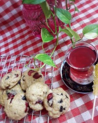 کوکی شکلاتی با آلبالو