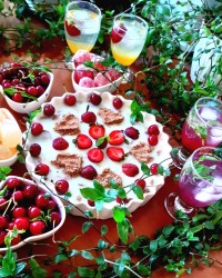 عیش السرایا ،فرنی با نون تست