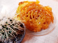 زولبیا برای اولین بار