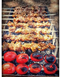 جوجه ترش صدفی