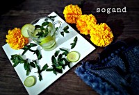 موهیتو دتاکس واتر