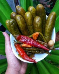 خیارشور و ترشی فلفل ❤