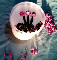 ماست خامه ای خانگی