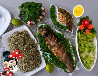 ماهی شکم پر شمالی