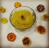 کرمفیل خانگی