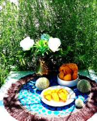قطاب عسلی