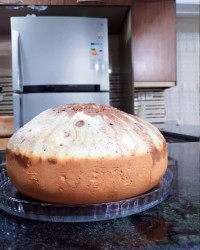 کیک ساده پخت تو پلوپز دیجیتال