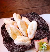 مینی باگت