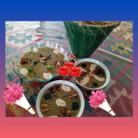 اش شله قلمکار