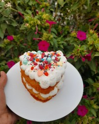 مینی کیک سابله