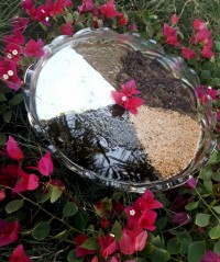 آش نذری خونه بابایی