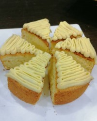 کرمفیل خانگی