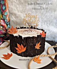 کیک شیفون کاکائویی