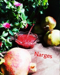 رب انارخانگی