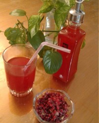 نوشیدنی زرشک