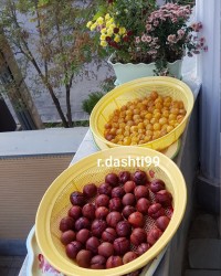 آلو_خشک لواشک