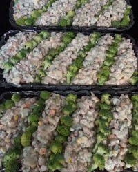 سالاد لوبیا چیتی