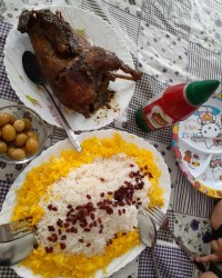 ناهار امروز مرغ شکم پر