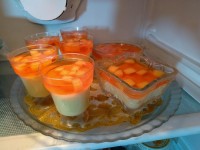 کاسترد و ژله